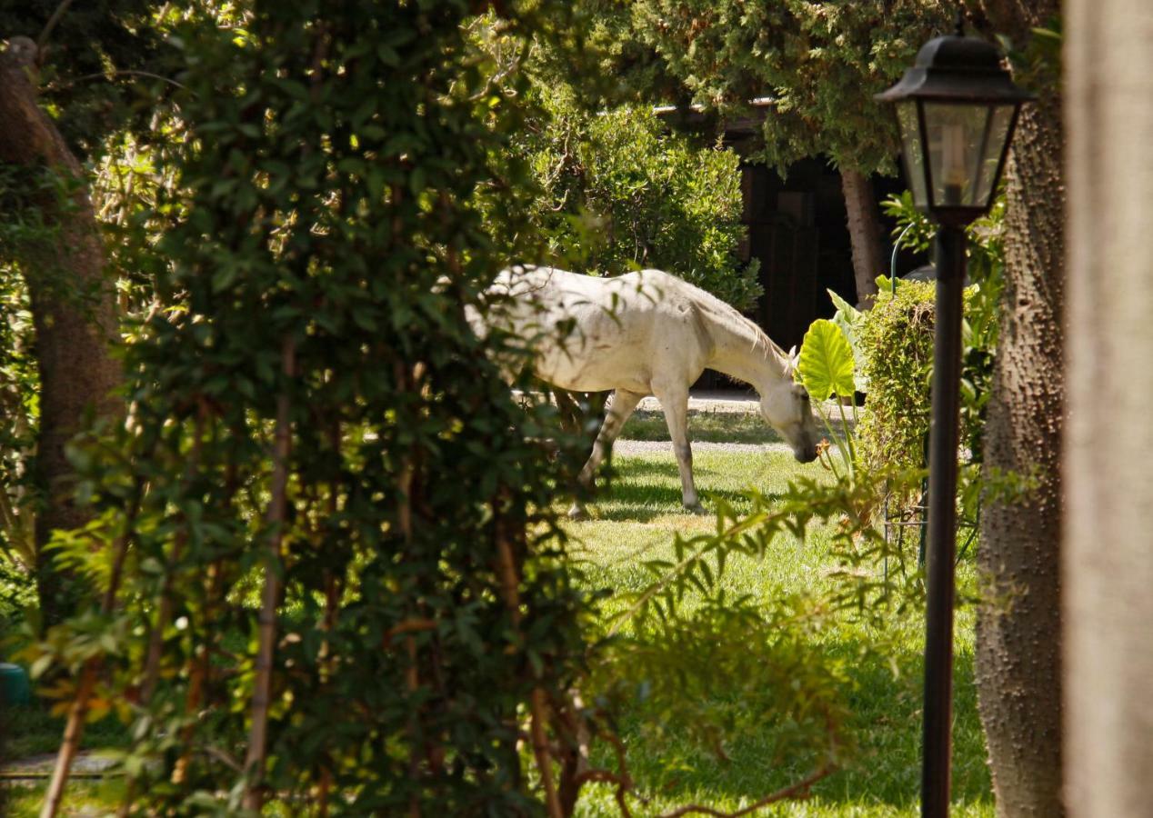 B&B La Villa Giardini Naxos Exterior photo
